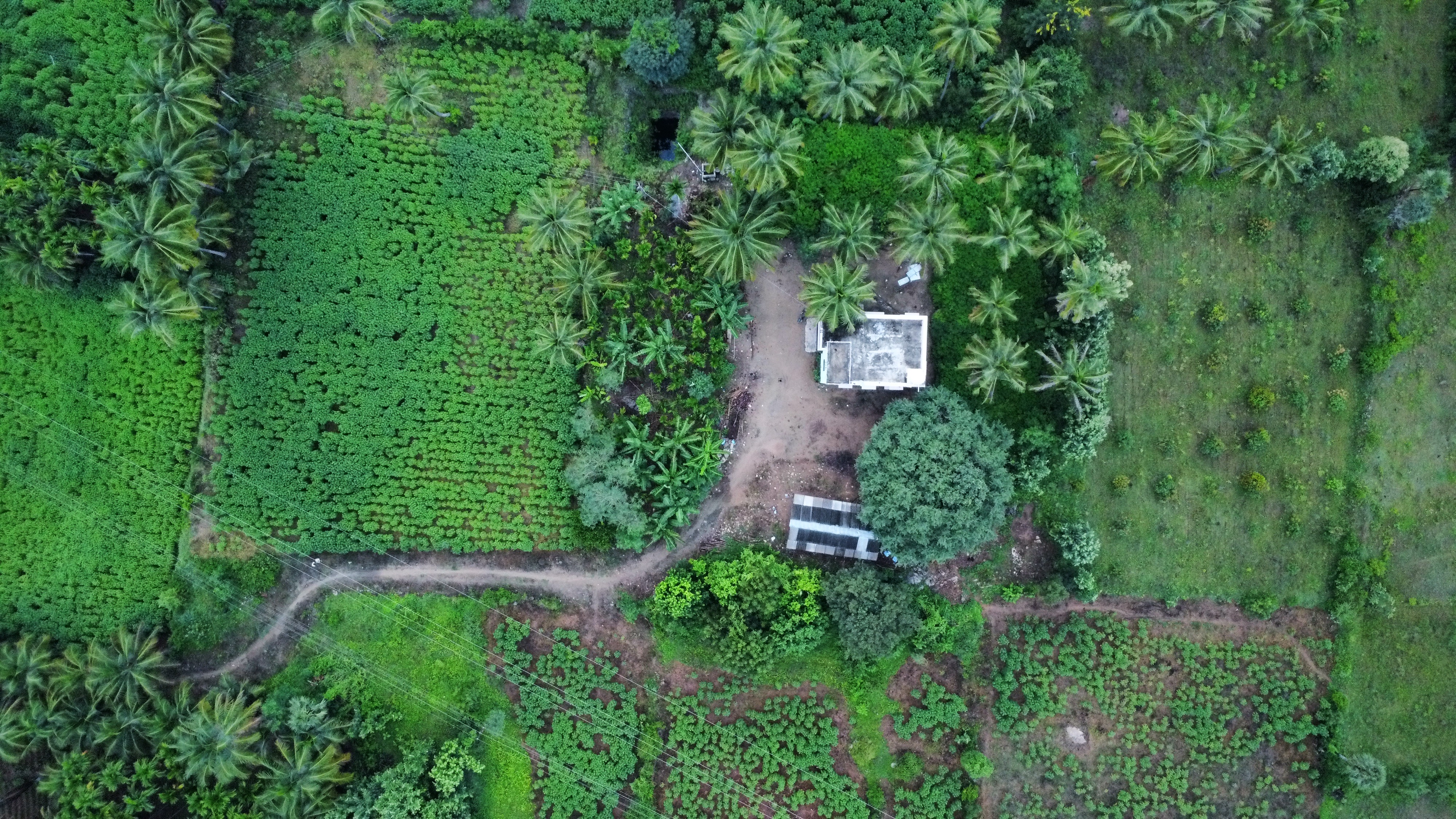 Aerial view of NativeRoots farm, Panaimadal